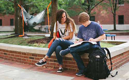 Students Outside Studying